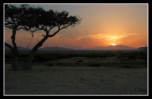 Coucher de soleil sur le camps du Wadi Lahami, situé en plein désert