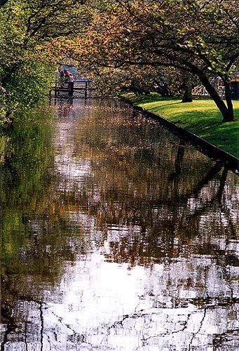 le Keukenhoff, le plus grand parc floral au monde