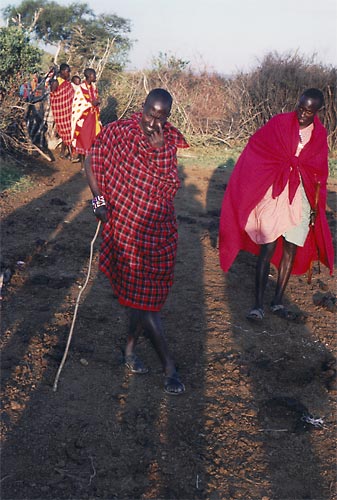 En compagnie des Massaïs
