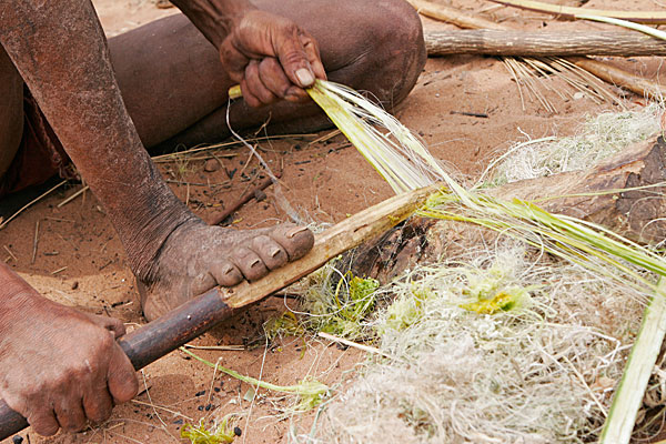 Fabrication de corde à partir d'une plante