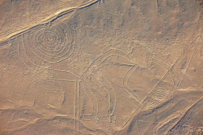 Le singe (93 m de long sur 55 m de large)