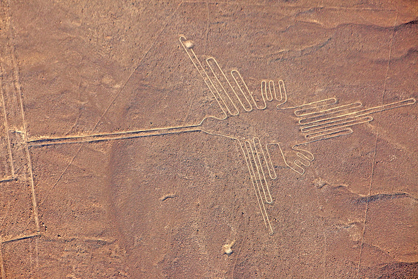 Le colibris (50 m de long)