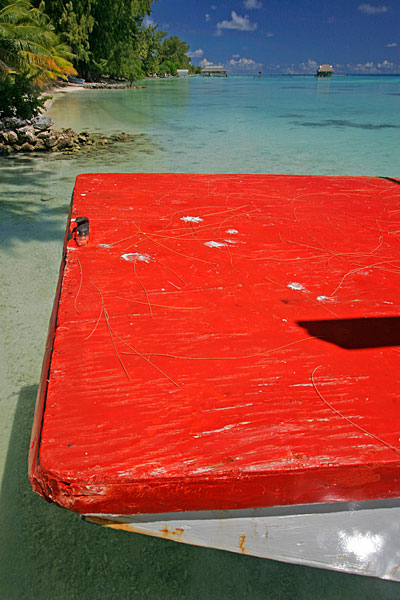 Bordures du lagon de Fakarava