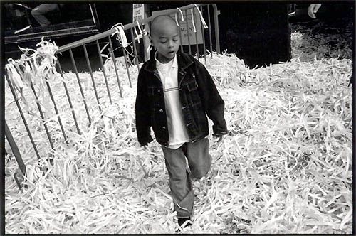 ... car ils n'avaient jamais encore vu de pluie de papiers ...